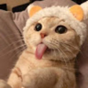 Meet your Posher, Donut